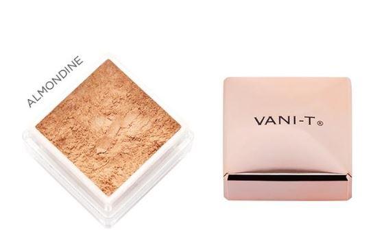 Vani-T Powder Foundation 15g