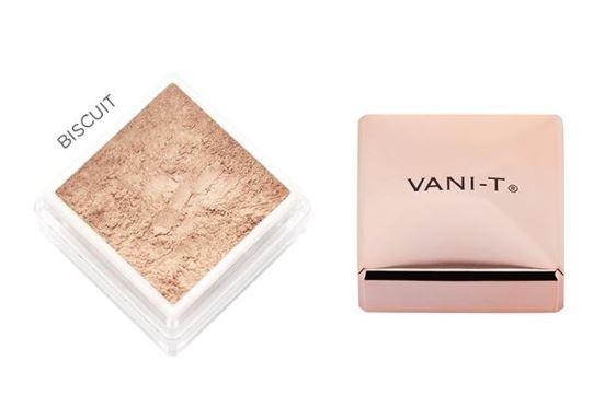 Vani-T Powder Foundation 15g