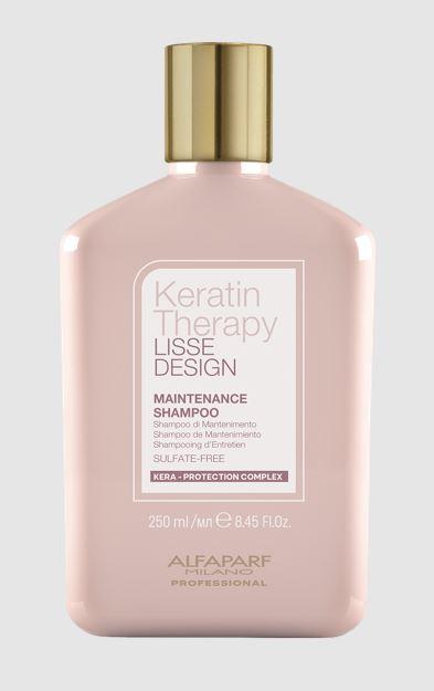 Lisse Maintenance Shampoo 250ml