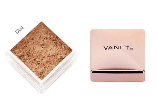 Vani-T Powder Foundation 15g