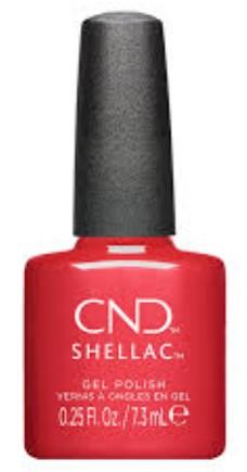 Shellac Dragon Slay All Day