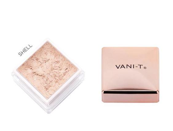 Vani-T Powder Foundation 15g